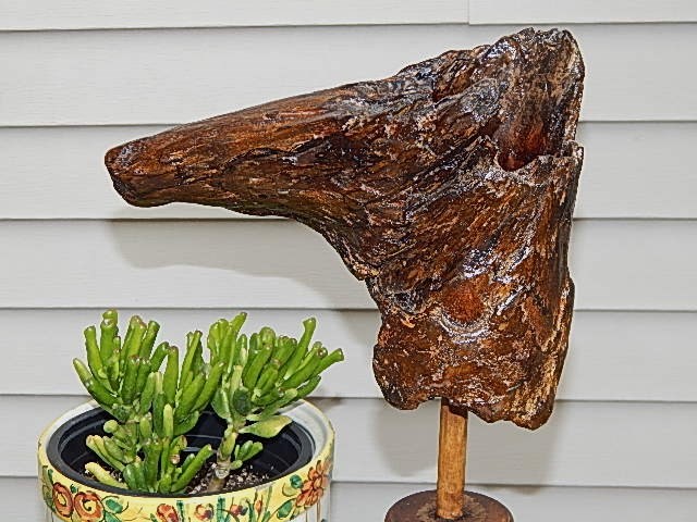 Driftwood Horse Head - Product Image
